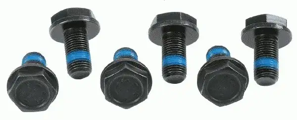 SACHS 3096005000 Volant Civatası N90501402 resmi