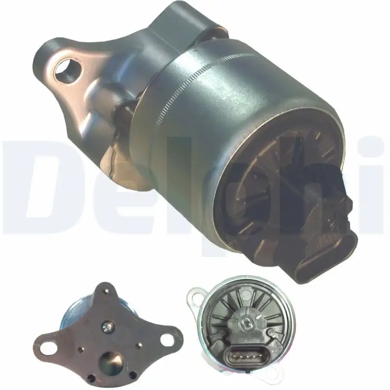 DELPHI EG10006-12B1 EGR Valfi resmi