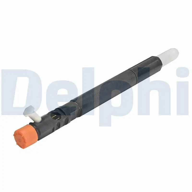 DELPHI R04501D-12B1 Enjektör A6640170121 resmi