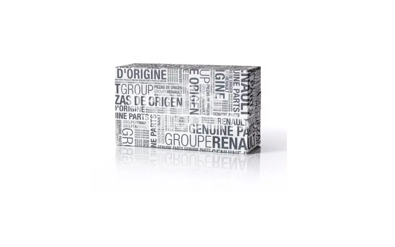 MAIS 166090273R Enjektör resmi