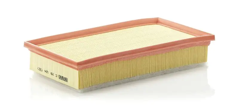 MANN C29124 Hava Filtresi 46794403 resmi