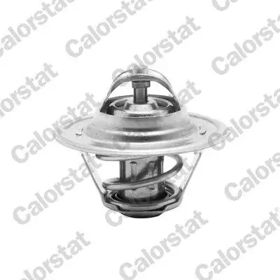 CALORSTAT VERNET TH6276.87J Termostat resmi