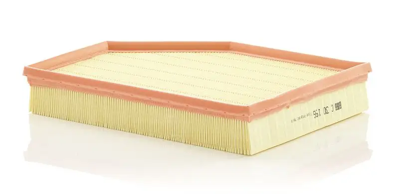 MANN C30196 Hava Filtresi 31368022 resmi