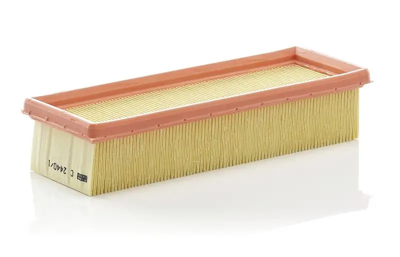 MANN C2440/1 Hava Filtresi resmi