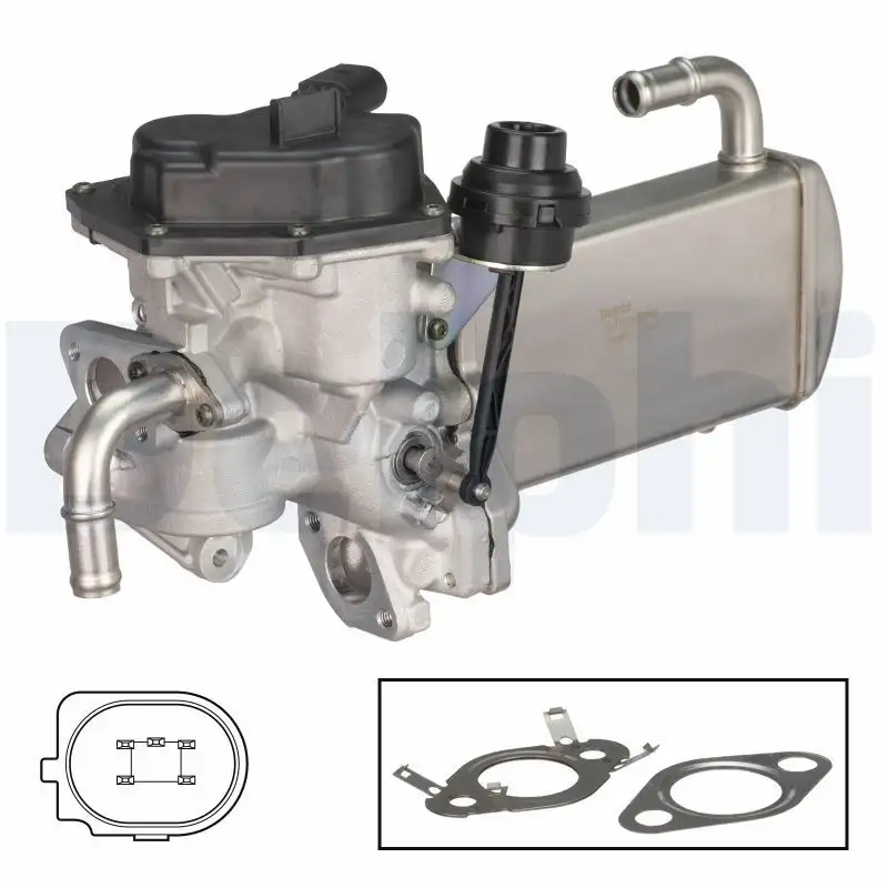 DELPHI EG10576-12B1 EGR Valfi resmi