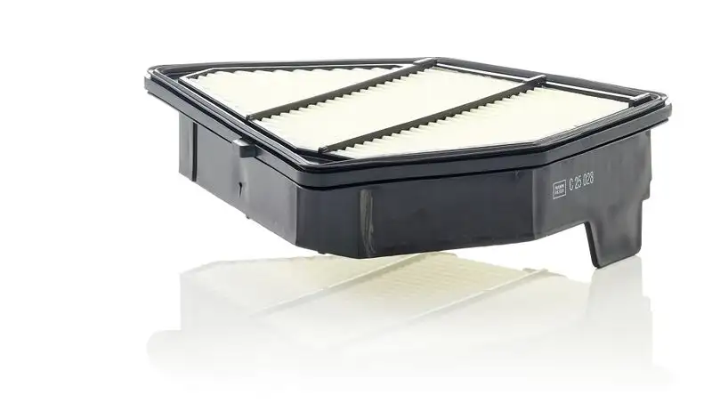 MANN C25028 Hava Filtresi 17220R5ZG01 resmi