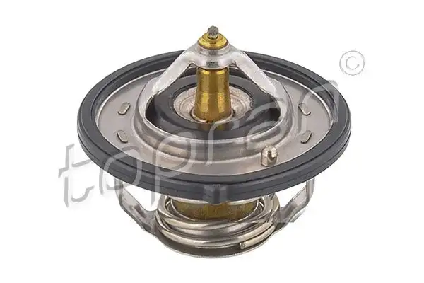 TOPRAN 820596001 Termostat 255002B001 resmi