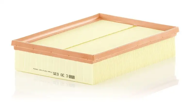 MANN C30035 Hava Filtresi 165462604R resmi