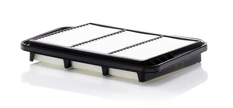 MANN C3028 Hava Filtresi 6553450 resmi