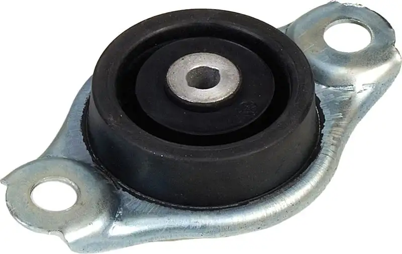 RAPRO R52165 Motor Takozu (Arka) 46800412 resmi