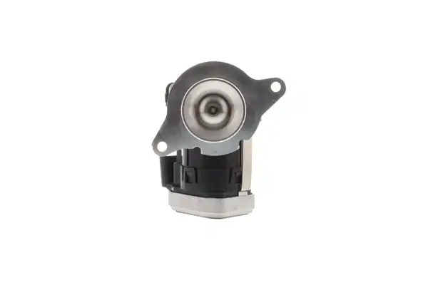 AISIN EGRAZ-7032 EGR Valfi A6461400760 resmi