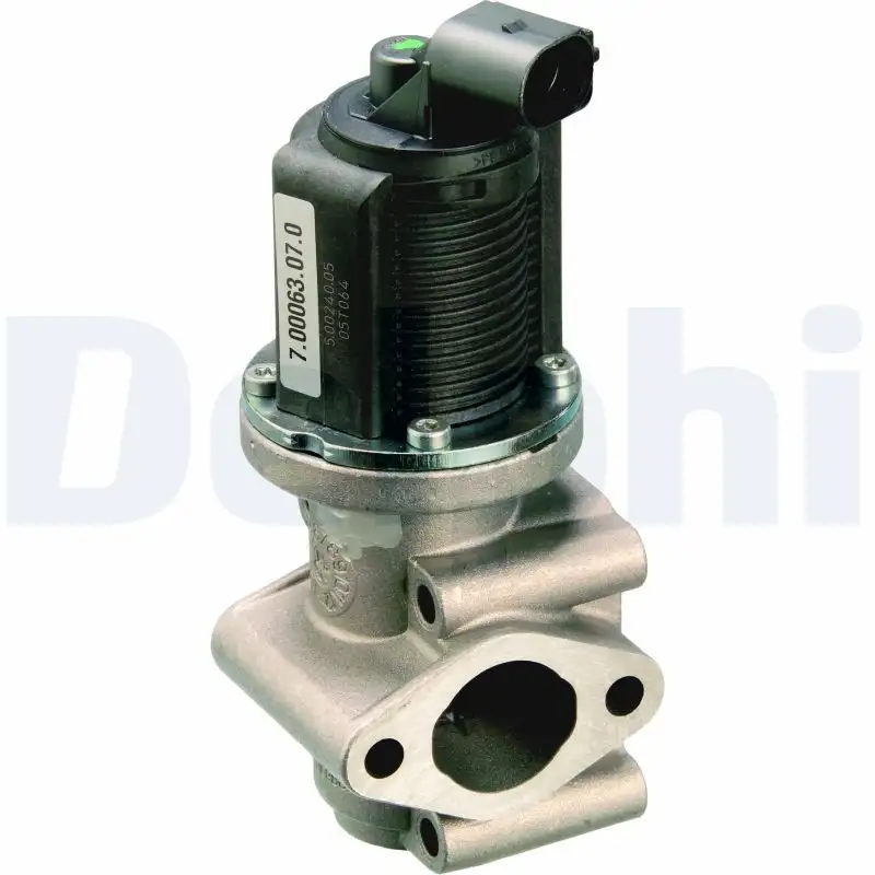 DELPHI EG10259-12B1 EGR Valfi resmi
