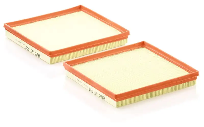 MANN C26009-2 Hava Filtresi A6290940104 resmi