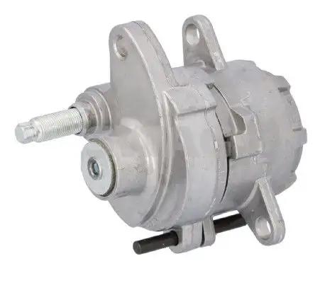 SWAG 10030019 Kayış Gergi Kütüğü resmi