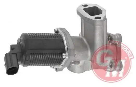 GUA 41140 EGR Valfi 55206931 resmi