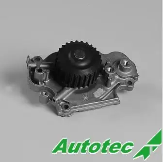AUTOTEC 09600821 Devirdaim 19200P13003 resmi