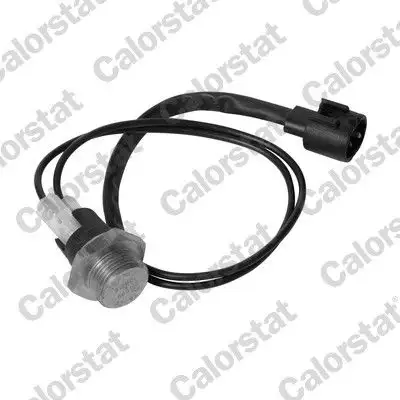 CALORSTAT VERNET TS1960 Fan Müşiri 7700796048 resmi