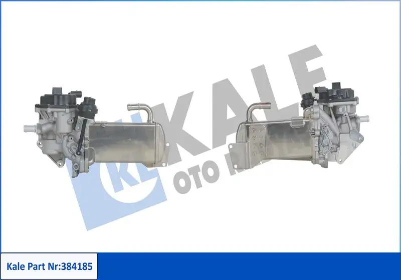 KALE 384185 EGR Valfi resmi