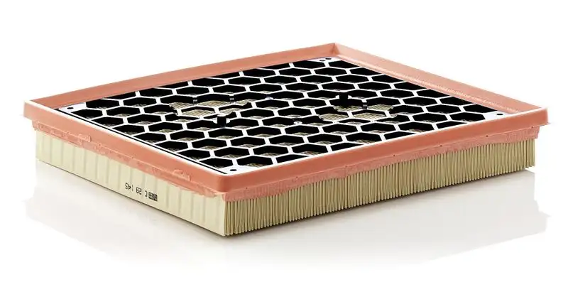 MANN C29145 Hava Filtresi 834647 resmi