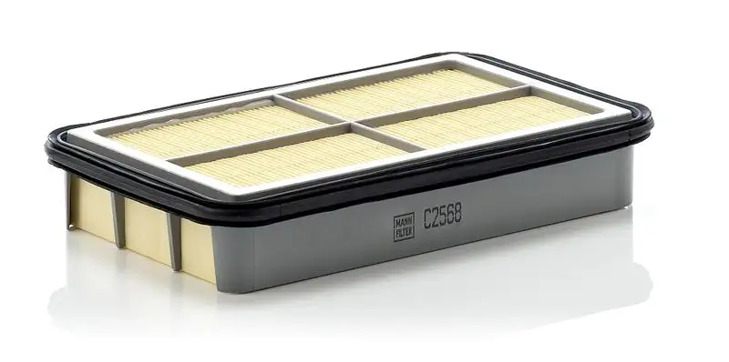 MANN C2568 Hava Filtresi resmi