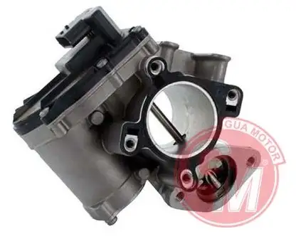 GUA 41135 EGR Valfi 147100385R resmi
