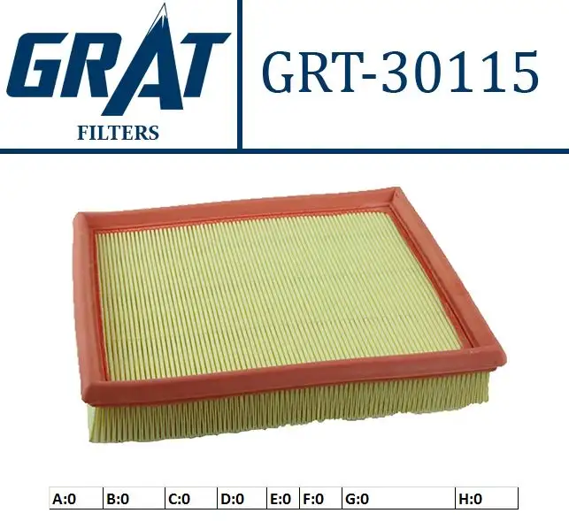 GRAT 30115 Hava Filtresi 13718507320 resmi