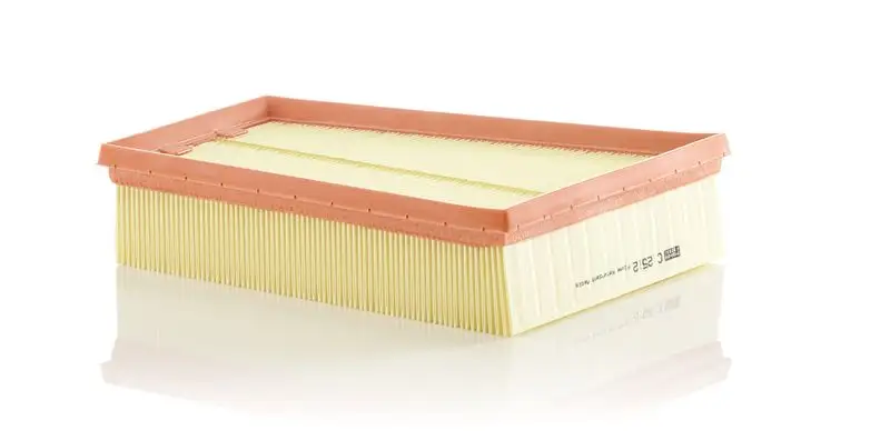 MANN C2512 Hava Filtresi 8200371661 resmi