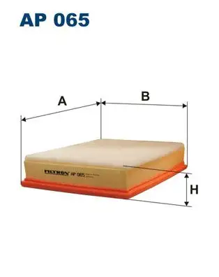 FILTRON AP065 Hava Filtresi resmi