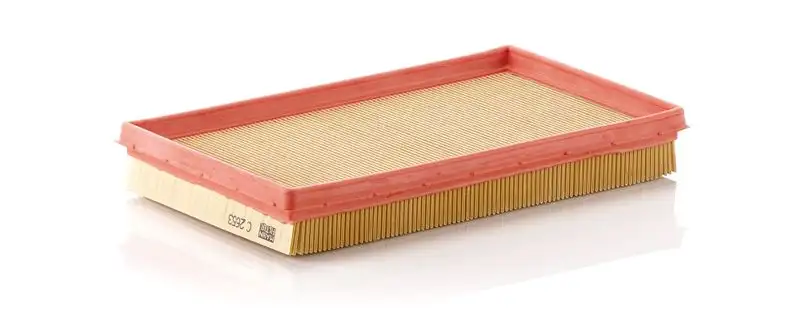 MANN C2653 Hava Filtresi 1378086G00000 resmi