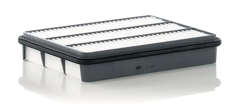 MANN C31007 Hava Filtresi 1780150040 resmi