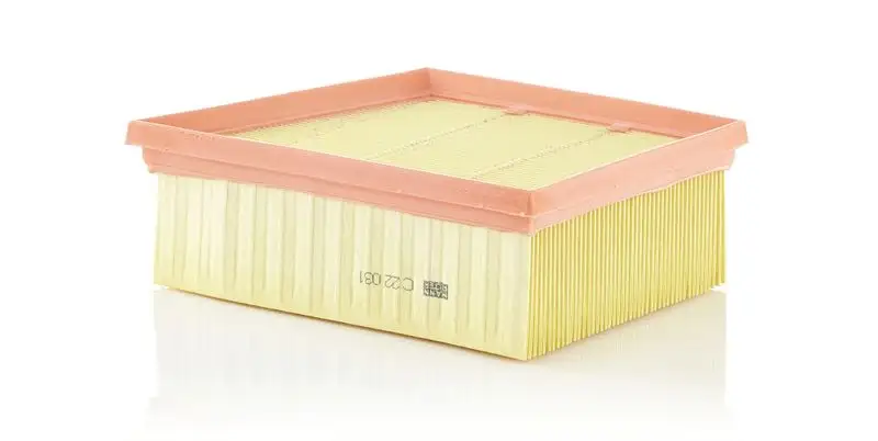 MANN C22031 Hava Filtresi GN159601AA resmi