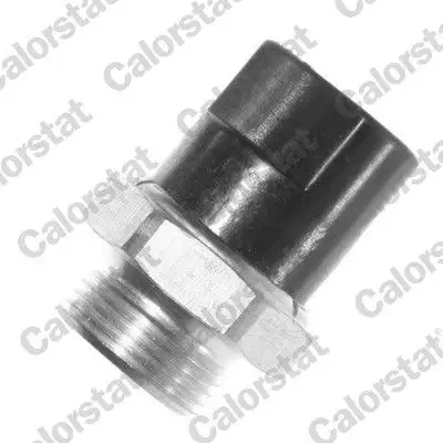 CALORSTAT VERNET TS1946 Fan Müşiri resmi