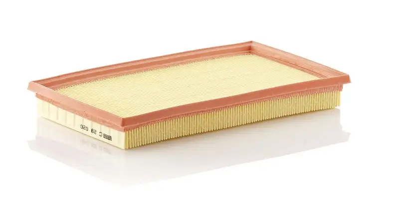 MANN C29020 Hava Filtresi 1378054LA0000 resmi