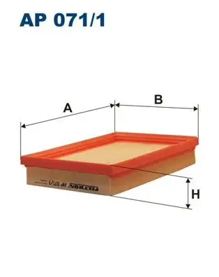 FILTRON AP071/1 Hava Filtresi resmi