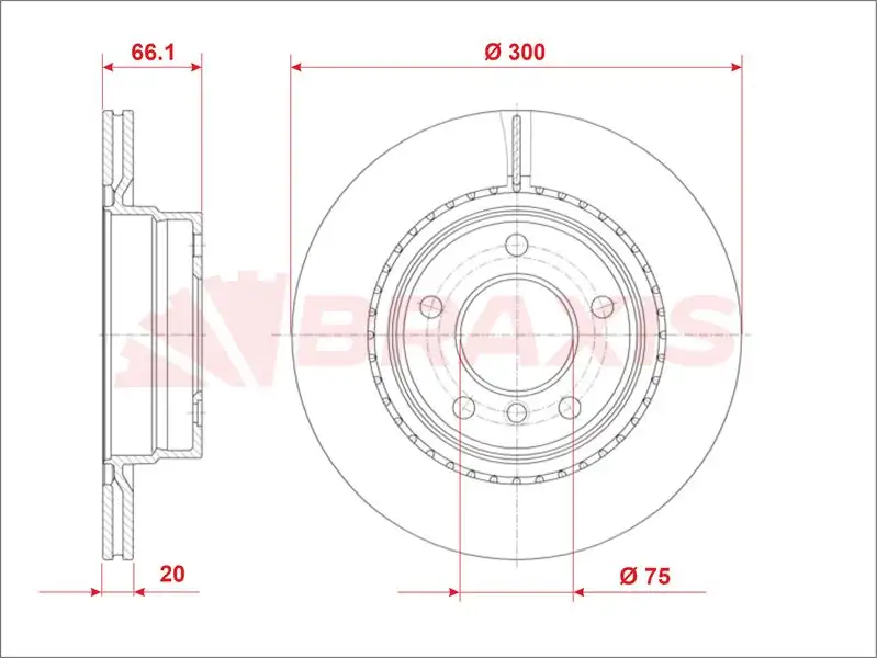 BRAXIS AE0809 Arka Fren Diski 34216792227 resmi