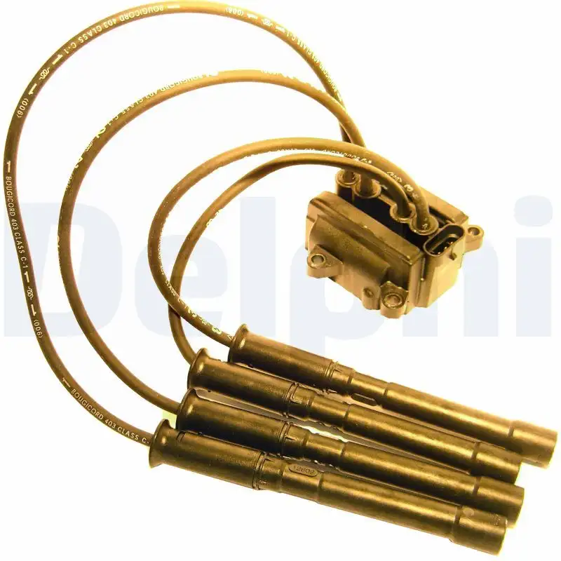 DELPHI CE20017-12B1 Bobin resmi