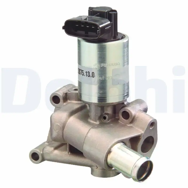 DELPHI EG10300-12B1 EGR Valfi resmi