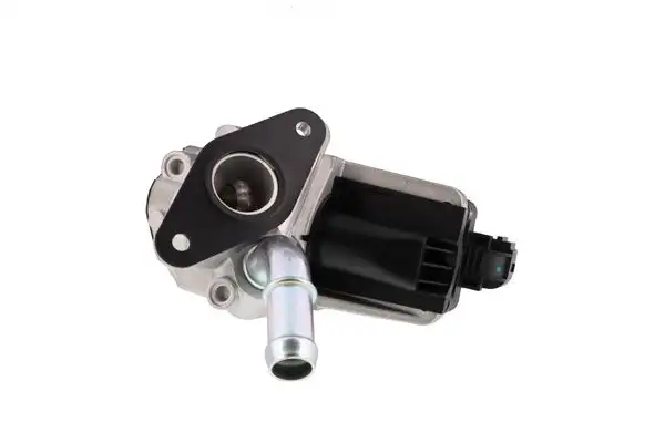 AISIN EGRAZ-7010 EGR Valfi resmi