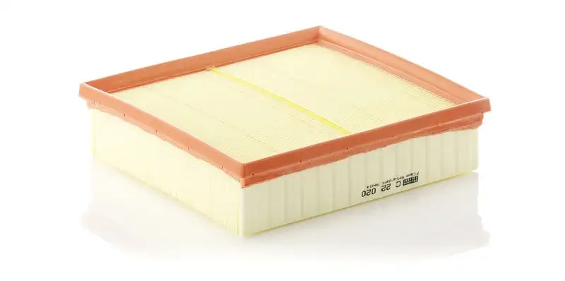 MANN C22020 Hava Filtresi A6510940204 resmi