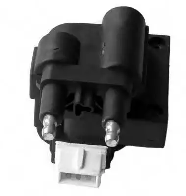 MGA 30108 Bobin 7700863021 resmi