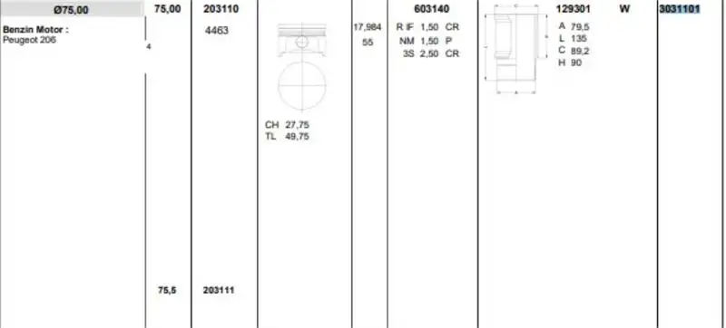 KONEKS 3031101 Piston Gömlek Segman (Set) resmi