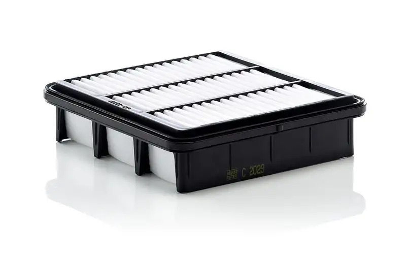 MANN C2029 Hava Filtresi 281132H000 resmi