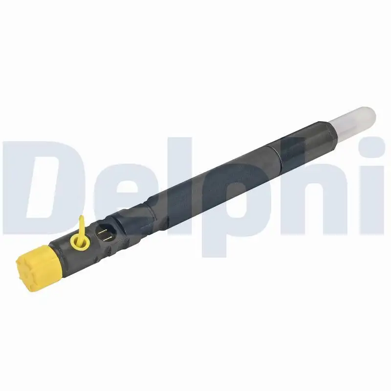 DELPHI R04201D-12B1 Enjektör A6460700987 resmi