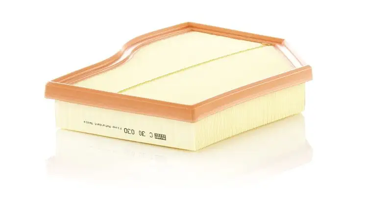 MANN C30030 Hava Filtresi A6540940204 resmi