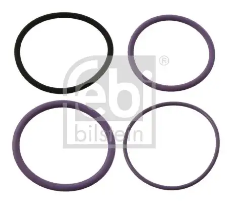 FEBI 35200 Enjektör Tamir Takımı resmi