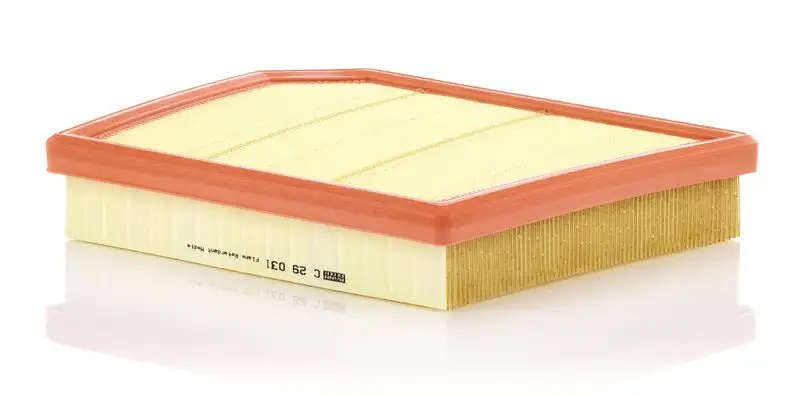 MANN C29031 Hava Filtresi 13718480400 resmi