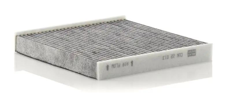 MANN CUK22013 Polen Filtresi (Karbonlu) 1748479 resmi