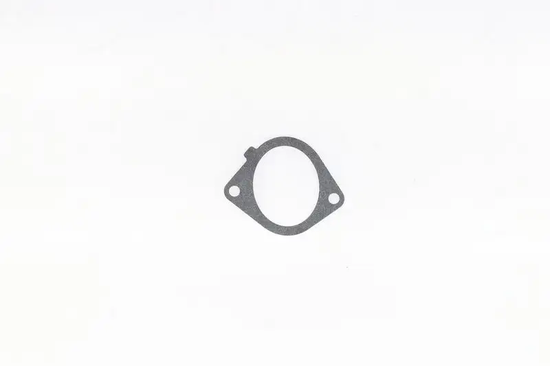 CORTECO 021518H (82921518) Emme Manifold Contası 0348N6 resmi