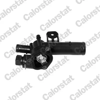 CALORSTAT VERNET TH6393.89J Termostat resmi