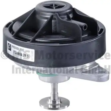 PIERBURG 7.24809.28.0 EGR Valfi resmi